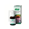 A. VOGEL ECHINACEA-SALVIA KURKKUSUIHKE 30 ML