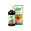 A. VOGEL ECHINAFORCE PUNAHATTU-UUTE 100 ML