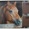 AIKA KIRJOITUSALUSTA HORSE 40x60 CM