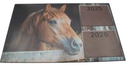 AIKA KIRJOITUSALUSTA HORSE 40x60 CM