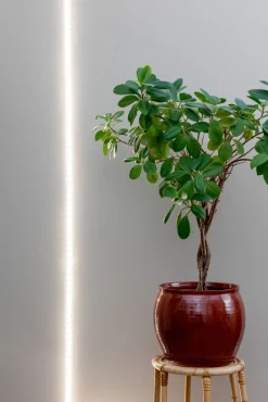 AIRAM KASVIVALO LED STRIP VALONAUHA 2M