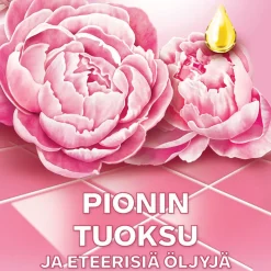 AJAX FETE DES FLEURS PEONY FLOWERS YLEISPUHDISTUSAINE