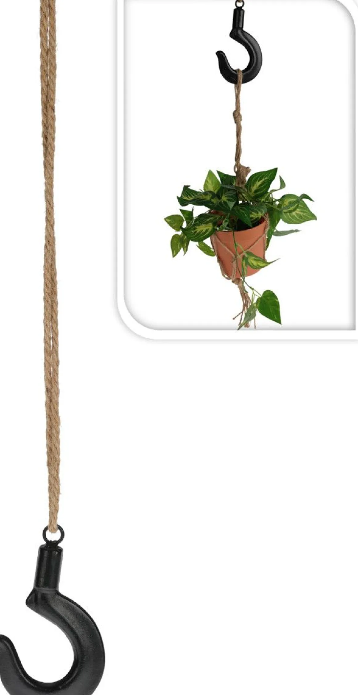 AMPPELIKOUKKU 17 CM