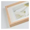 ART LINK KEHYS ISABELLA BOX TAMMI 40X50