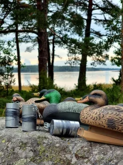 ATOM HOUKUTUSKUVA HEINÄSORSA UROS