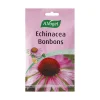 A. VOGEL ECHINA-C KURKKUPASTILLI 75 G
