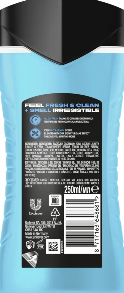 AXE ICE CHILL SUIHKUSAIPPUA 250 ML
