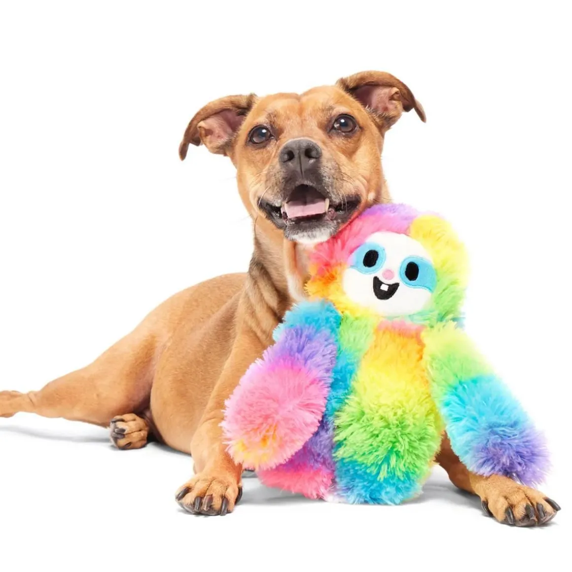 BARK KOIRANLELU GOOD VIBES GARY VINKU & RAPINA
