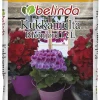 BELINDA KUKKAMULTA  12 L