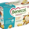 BENECOL JOGURTTI 4*115G PERSIKKA 460 G