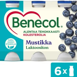 BENECOL JOGURTTIJUOMA 6*100G MUSTIKKA 600 G