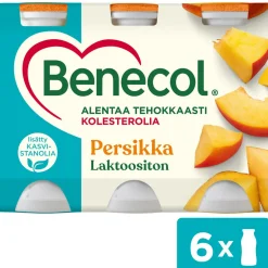 BENECOL JOGURTTIJUOMA 6*100G PERSIKKA 600 G