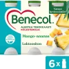 BENECOL JOGURTTIJUOMA 6*100G MANGO-ANANAS 600 G