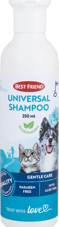 BEST FRIEND CLEAN YLEISSHAMPOO 250 ML