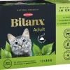 BEST FRIEND BILANX ADULT LAJ.  KASTIKKEESSA 12*85G KANA, NA 1,2 KG