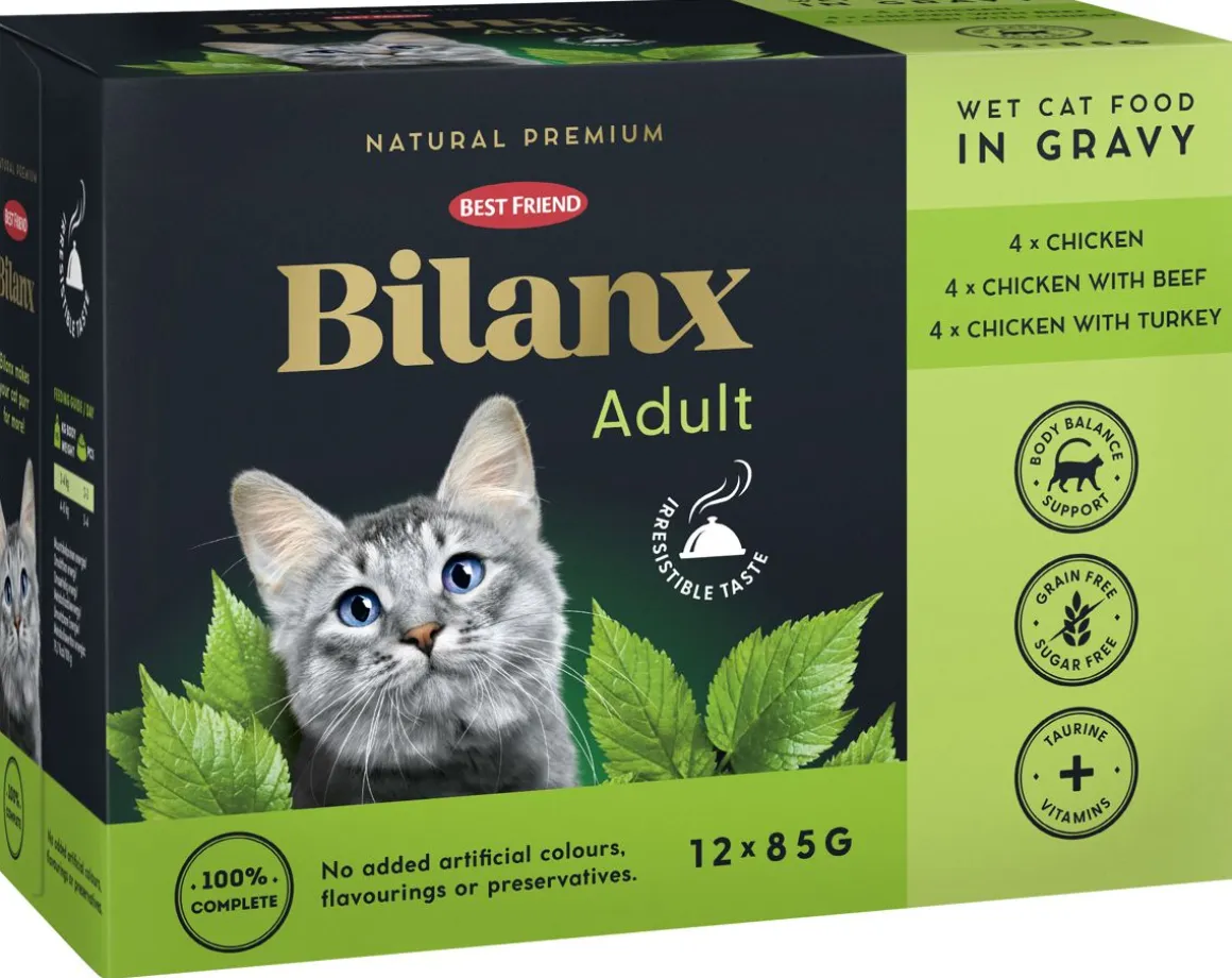BEST FRIEND BILANX ADULT LAJ. KASTIKKEESSA 12*85G KANA, NA 1,2 KG