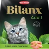 BEST FRIEND BILANX KISSAN TÄYSRAVINTO ADULT KANA 2 KG