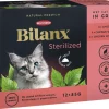 BEST FRIEND BILANX STERILIZED LAJ. KASTIKKEESSA 12*85G KANA, N 1,02 KG