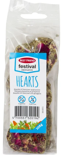 BEST FRIEND FESTIVAL EXCLUSIVE BANAANISIPSIT 110 G
