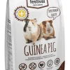 BEST FRIEND FESTIVAL EXCLUSIVE MARSUN TÄYSRAVINTO 900 G