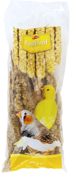 BEST FRIEND NATURE HIRSSINTÄHKÄ 300 G