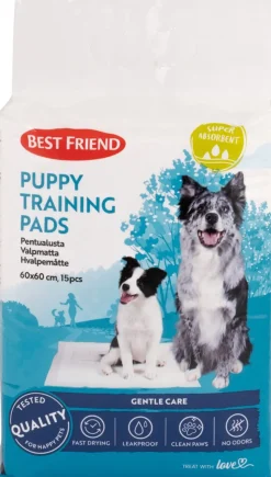 BEST FRIEND PENTUALUSTA 60*60CM 15KPL