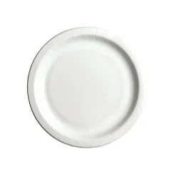 BIOWARE VALKOINEN LAUTANEN 22CM 50 KPL