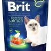 BRIT PREMIUM BY NATURE LOHTA STER. KISSOILLE 300 G