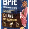 BRIT PREMIUM BY NATURE PATE LAMB WITH BUCKWHEAT 400 G