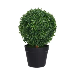 BUXUSPUU 23CM