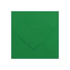 CANSON IRIS VIVALDI 240G 50X65 30 MOSS GREEN VÄRIKARTONKI