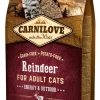 CARNILOVE KISSAN TÄYSRAVINTO ADULT ENERGY/OUTDOOR PORO 6 KG