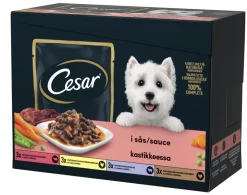 CESAR ANNOSPUSSI KASTIKELAJITELMA ADULT 12*100G 1,2 KG