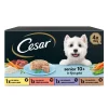 CESAR SENIOR HYYTELÖLAJITELMA 4*150G 600 G