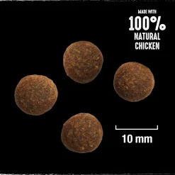CRAVE KOIRAN TÄYSRAVINTO ADULT KALKKUNAA&KANAA 2,8 KG