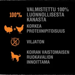 CRAVE KOIRAN TÄYSRAVINTO ADULT KALKKUNAA&KANAA 1KG