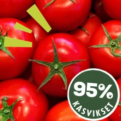 DOLMIO BOLOGNESEKASTIKE SMOOTH TOMATO 450 G