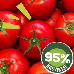 DOLMIO BOLOGNESEKASTIKE MAUSTEINEN 675 G