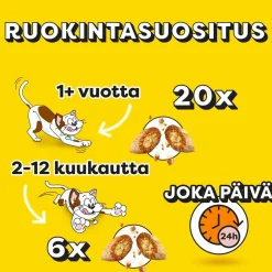 DREAMIES MEGATUB KANA 350 G