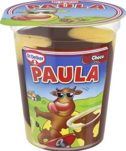 DR. OETKER PAULA SUKLAANMAKUINEN VANUKAS JA VANILJANMAKUISET TÄ 125