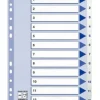 ESSELTE REKISTERI ESSELTE 1-12 A4 KARTONKI