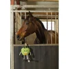EXCELLENT HORSE FOODIE FRIENDS HEPPALELU, OMENA