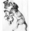FINLAYSON PUSSILAKANASETTI SELVIYTYJÄT 150X210CM+50X60CM