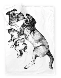FINLAYSON PUSSILAKANASETTI SELVIYTYJÄT 150X210CM+50X60CM