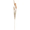 FINNMARI HEINÄ 92 CM TERRACOTTA