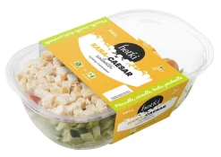 FRESH HETKI KANA-CAESARSALAATTI 550 G