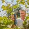 GARDENA OKSASAKSET ASSISTCUT