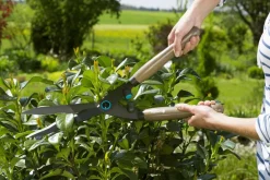 GARDENA PENSASSAKSET CLASSIC FSC