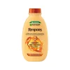 GARNIER RESPONS HONEY TREASURES VAHVISTAVA SHAMPOO HEIKOILLE J 250