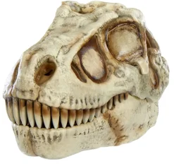 GROSSMOS BLIND DINO